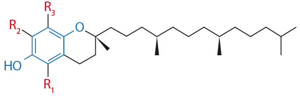 Wzór chemiczny witaminy E - Magdalena Dzienisik