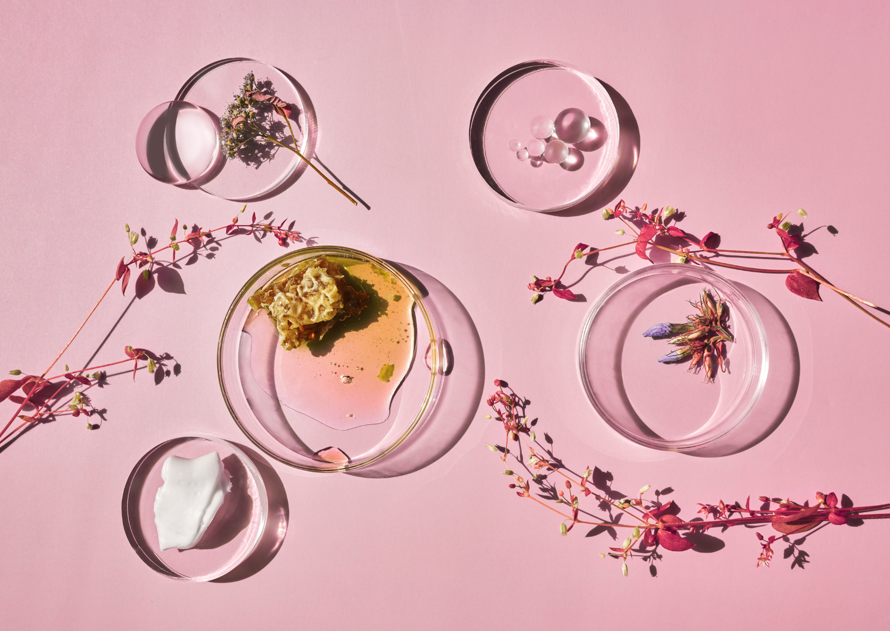 Projekt bez nazwy (7) free from