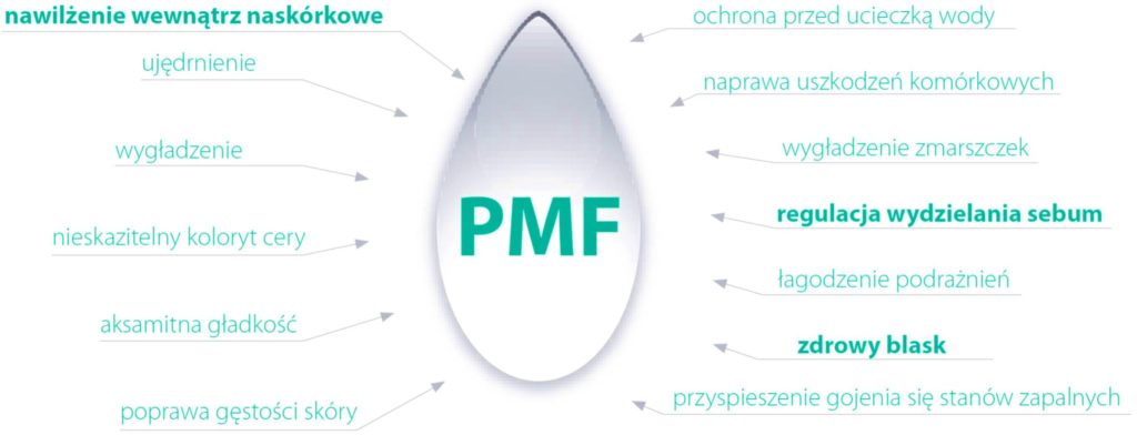 PMF - Faktor Ochrony Nawilżenia działa wielokierunkowo na skórę