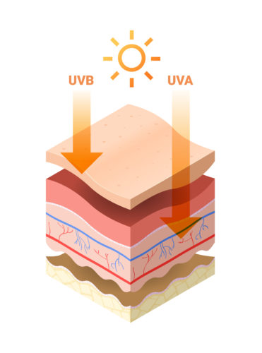 Skóra latem jest narażona głównie na działanie promieniowania UVA i UVB
