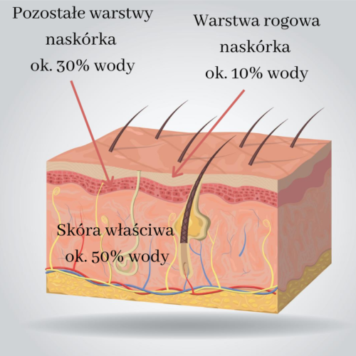 Woda w skórze