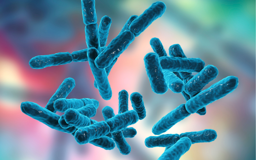 Probiotyki i prebiotyki w kosmetykach