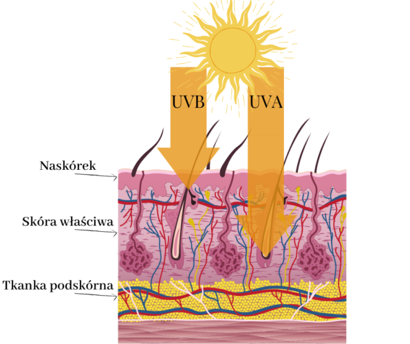 promieniowanie uva a uvb