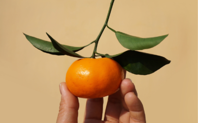 Masło tangerine – regeneracja przesuszonej słońcem skóry