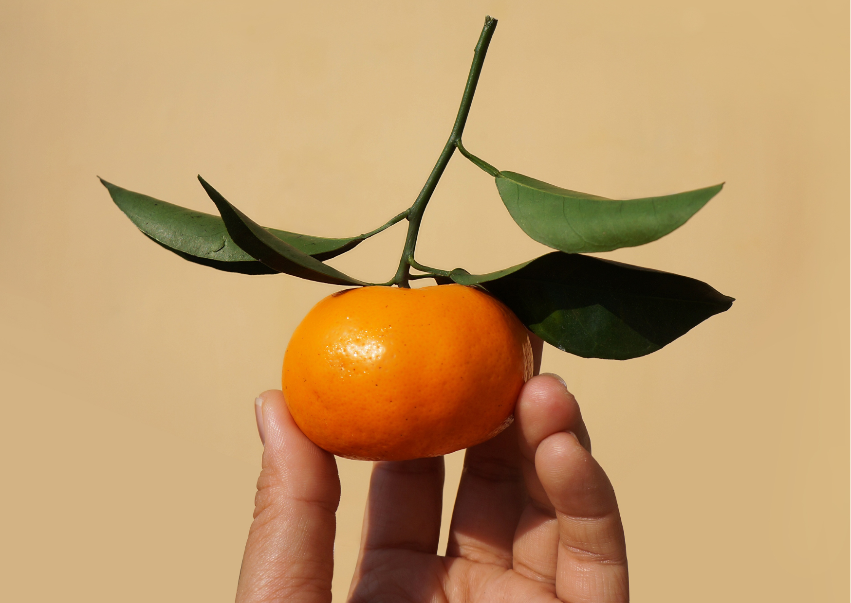 masło tangerine