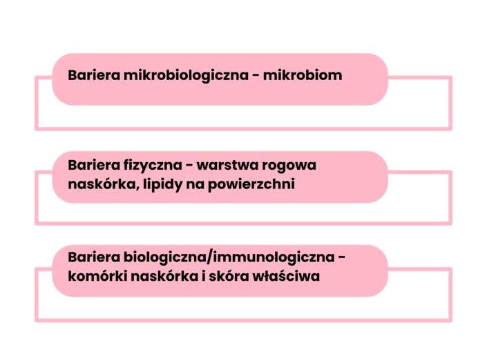 mikrobiom
