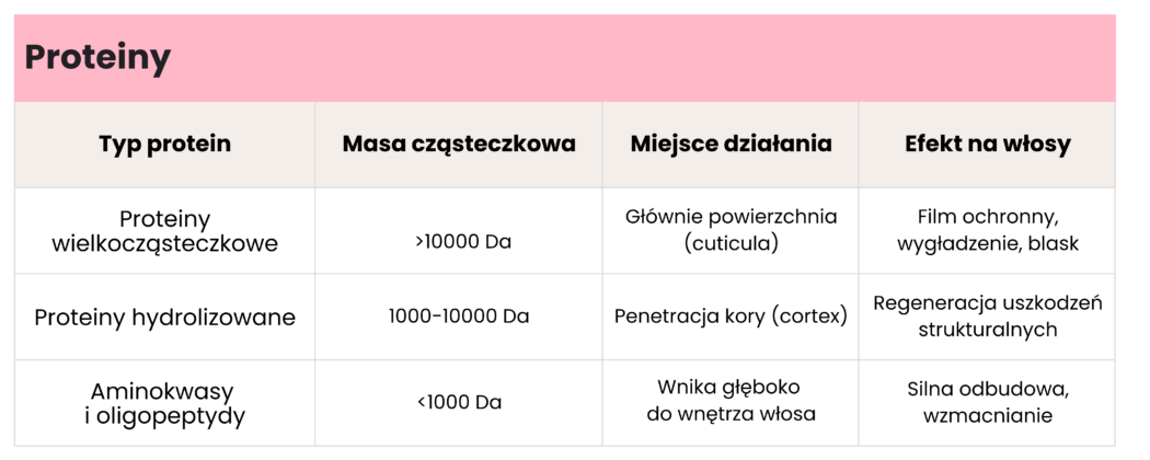 proteiny - wielkość cząsteczki