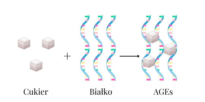 glikacja białek