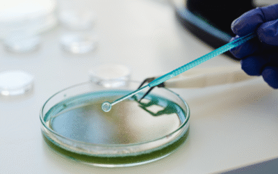 Postbiotyki – czym są i dlaczego warto po nie sięgać w pielęgnacji?