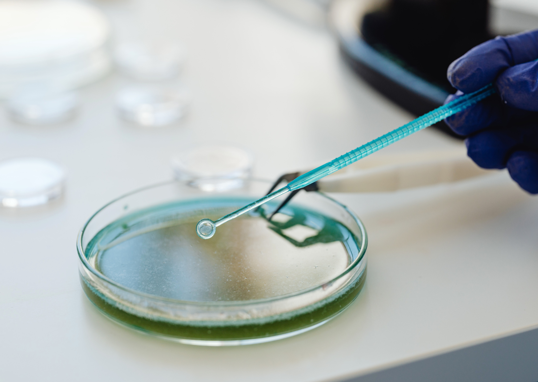 Projekt bez nazwy (7) postbiotyki