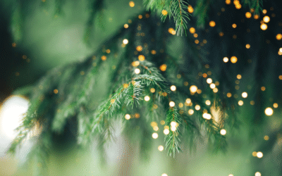 Wesołych Świąt i pomyślnego Nowego Roku!