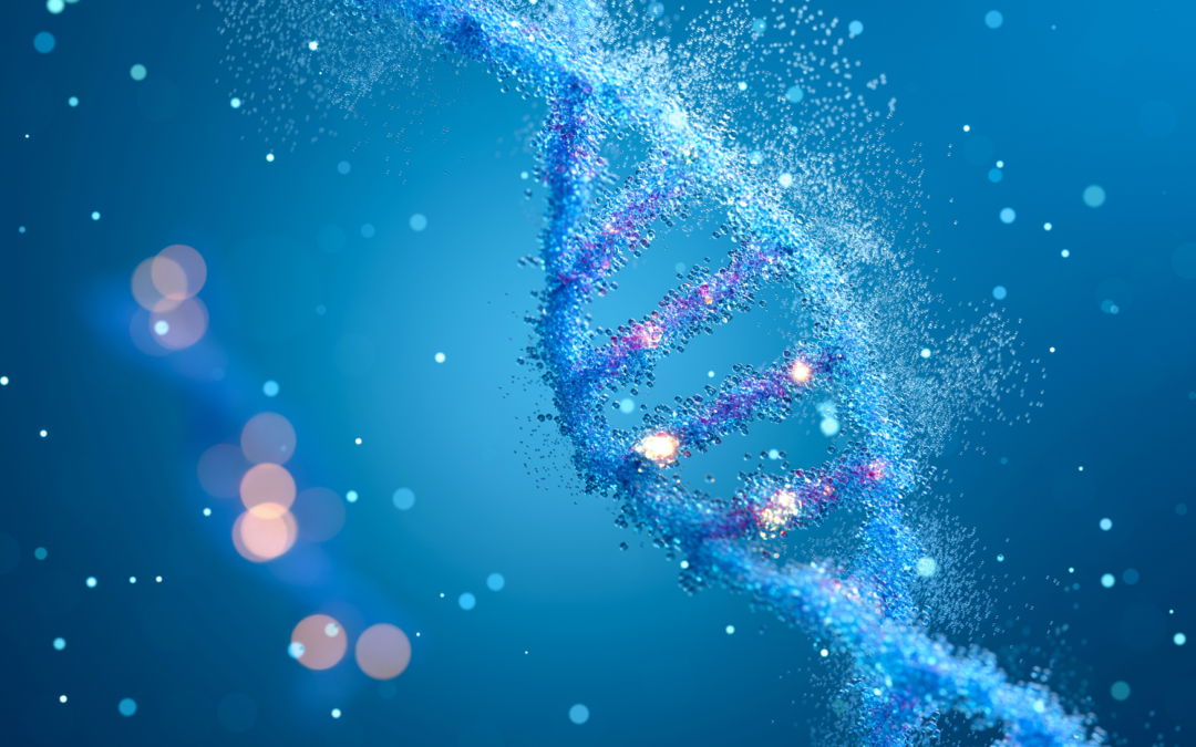 Skin longevity – kosmetyki, które wydłużą młodość skóry