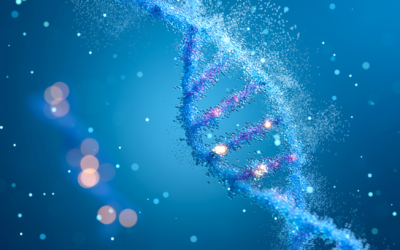 Skin longevity – kosmetyki, które wydłużą młodość skóry