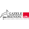 Gazela Biznesu 2017