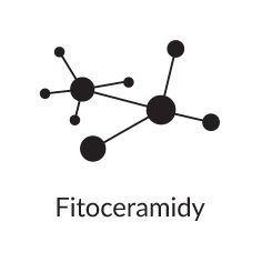 Fitoceramidy